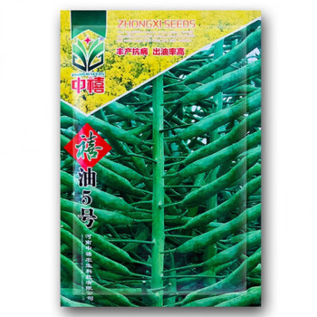 禧油5号油菜籽种子蔬菜种子四季播种易成活禧油5号袋装