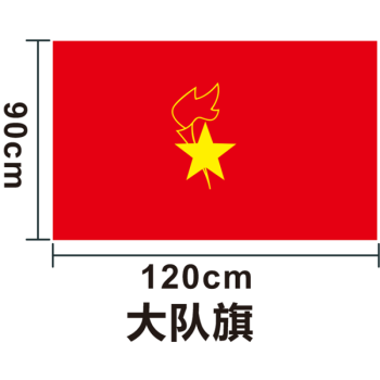 野鴿 少先隊隊旗手持中國少年先鋒隊旗中隊旗手拿小學生少先隊員大隊