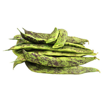 马掌豆角 东北豆角马掌 新鲜蔬菜 现摘农家油豆角 2.5kg【5斤】