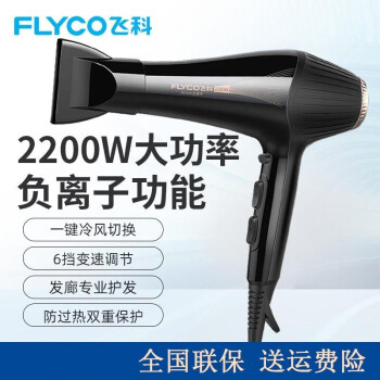 ɿƣFLYCO 紵ôʴͲиȷ귢FH6101 ɫ2200W