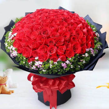 蔷薇恋99朵红玫瑰花束 鲜花同城配送 表白求婚送女友老婆生日礼物纪念日 99朵红玫瑰-风花雪月