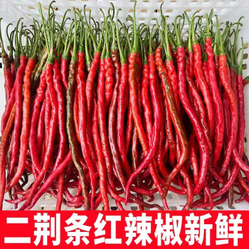 紅辣椒新鮮紅線椒5斤蔬菜農家自種3剁椒原料 5斤精選裝【圖片 價格