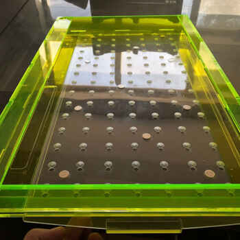 麦桑荷育苗穴盘播种器加厚播种机菜花甘蓝辣椒等花菜漂浮盘162