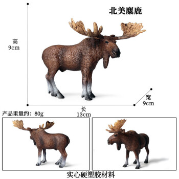 Oenux仿真野生白尾鹿小鹿动物静态模型实心梅花鹿摆件套装儿童认知启蒙 麋鹿