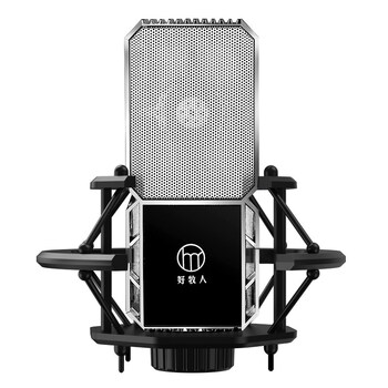 好牧人动圈麦电容麦大振膜e300麦克风话筒老客户声卡新客et01大振膜麦