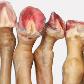 驴脚带皮现杀驴蹄驴小腿蹄筋农家散养 顺丰:十斤