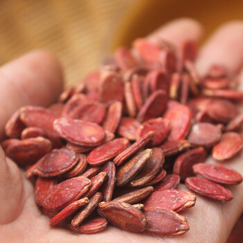 白鹭古村赣南特产水煮蒸汽五香味红瓜子炒货零食兴国生西瓜子原味生