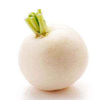 48小时发货如皋特产农家自种露天百日子小圆白萝卜甜脆新鲜蔬菜果1斤3