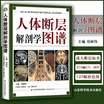 正版 人体断层解剖学图谱(精) CT人体断层局部解剖影像学 人体解剖学断面解剖学图谱 刘树伟主编 山