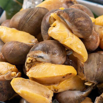 皓谦海鲜生鲜水产速冻老婆脚鲍螺螺眼螺4斤