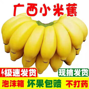 帆儿庄园新鲜广西小香蕉水果小米蕉蕉新鲜水果整箱当季鲜苹果蕉自然熟粉蕉 2.5kg