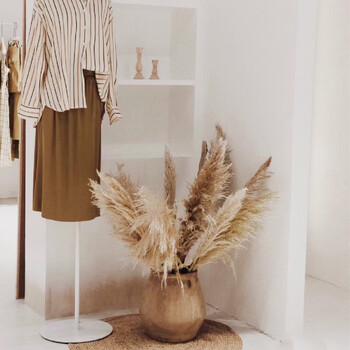 天然芦苇干花网红真花花束客厅摆设蒲苇鲜花装饰阳台摆件ins仿真 本色
