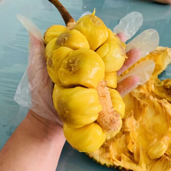 凡夫海南三亚榴莲蜜一整个新鲜软糯热带水果湿包现摘现发特产 7-8斤(1