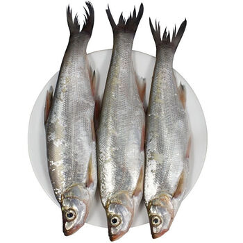 新鲜白鱼餐条小刁子翘嘴鱼柳叶鱼小河鱼白丝鱼现杀去内脏现发 餐条4斤