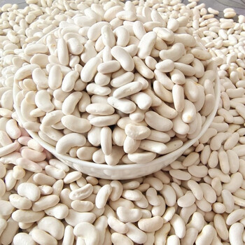 云南小白豆小白芸豆四季豆农家自种煲汤煮粥五谷杂粮小白豆二斤装