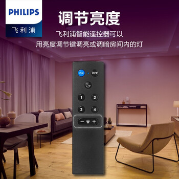 客厅卧室简约现代灯饰siri动作感应wiz智能控制灯具双影智能遥控器