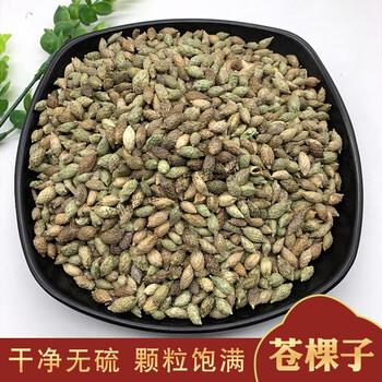 同仁堂中药材苍耳子500克 野生苍耳 苍耳子 苍棵子 苍郎种