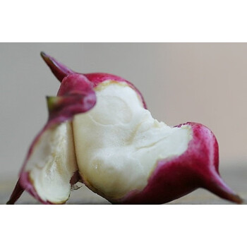 2022嘉兴特产南湖现摘嫩红菱新鲜四角红菱野生生吃红菱角带壳 2500g