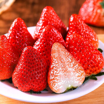 现摘丹东红颜草莓 99红颜奶油草莓 新鲜水果 3斤大果装 单果30-35g