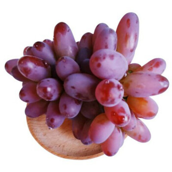 郁金香葡萄新鲜无籽儿童水果茉莉香美人指红提子玫瑰香3斤装中秋团建