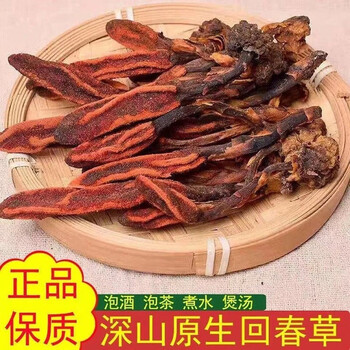 云南深山草苁蓉男持补久牛大力搭配锁阳风流果泡水茶泡酒料回心草