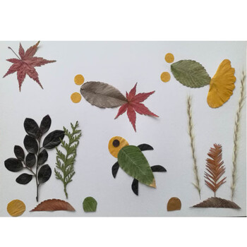 成品真创意小学生幼儿园儿童手工材料包植物标本a4贴好的成品海底世界