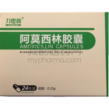 力恩普 阿莫西林膠囊0.25g*40粒 5盒裝