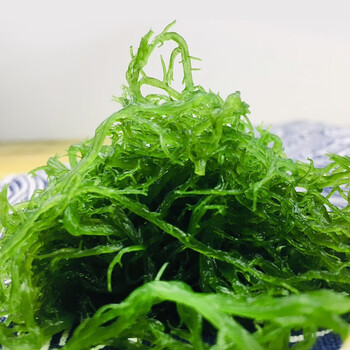 叁时鲜龙须菜1kg东山岛海菜凉拌菜1kg