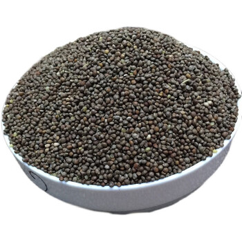 哺食旺酥麻籽贵州特产新酥麻农家黑苏麻引子油性酥麻糖引子糖紫苏籽 5