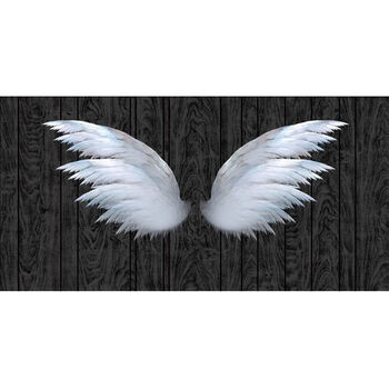 直播背景墙翅膀主播背景布直播间男女主播背景3d直播背景布快手背景kl