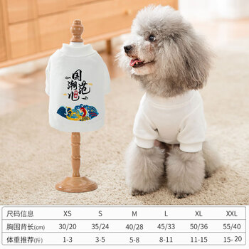 嬉皮狗泰迪博美比熊小型犬秋冬装薄款狗狗两脚衣猫咪宠物宠物衣服小型犬夏泰迪小狗幼犬衣服宠物狗狗衣服白色潮范儿