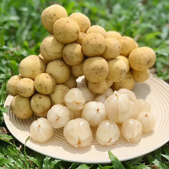 玫栀泰国龙宫果2斤当季新鲜水果贡果顺丰