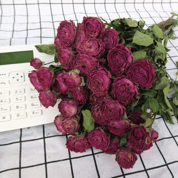 玫瑰泡泡干花野餐花束复古森系装饰生日礼物拍照搭配sn3756紫玲珑泡泡