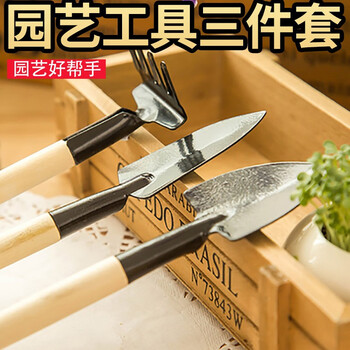 生长魔励喷壶 家用浇花水壶赶海工具花卉盆栽多肉喷壶花园种花工具组合 小三件套