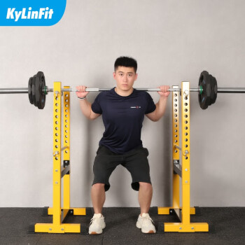 KYLINFIT ÷ʽ׼Ƽܸܰȫѵ ׼+1.8װ¸+100kgƬ