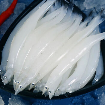 lism查干湖银鱼新鲜鲜冻速冻特大号银鱼小银鱼辅食淡水鱼 银鱼干(天然