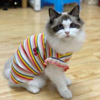 穗桓(suihuan) 小猫咪的衣服宠物猫咪衣服夏季薄款泡泡袖可爱背心无袖