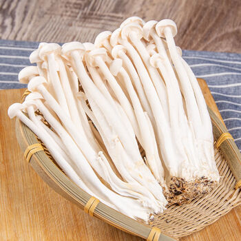 四川新鲜海鲜菇食用菌菇蟹味菇白玉菇斑玉蕈香蘑菇煲汤蔬菜 5袋 新鲜