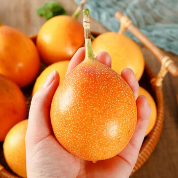 甘贤(ganxian)云南热情果 新鲜当季哥伦比亚品种香甜黄金百香果 老少