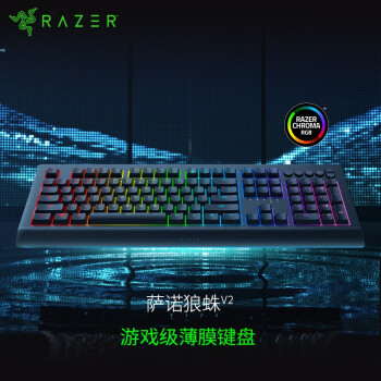  Razer ŵV2  羺 RGBϷ Ӣlol  Լ