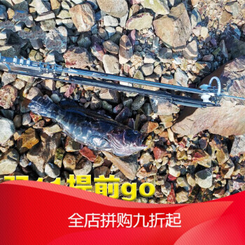 潛水鐵甲小鋼炮自由潛水魚槍裝備射魚器專用射魚箭水下套裝射魚神器