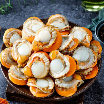 特大号扇贝肉新鲜冷冻扇贝全贝虾夷贝蒜蓉扇贝水产品批发 鲜露哒 超