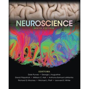 ֻ Neuroscience (6TH ed.) װӢԭ  񾭿ѧ