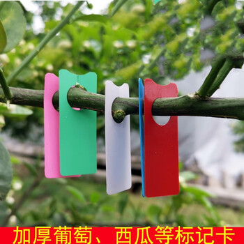 葡萄标记卡片西瓜标记牌植物加厚标签色卡分类牌塑料挂牌园艺防水粉色