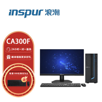 浪潮（INSPUR）英政CA300F 国产化 一体机电脑丨GF麒麟统信丨23.8英寸丨定制丨飞腾-FT-2000丨8G丨256G丨1G