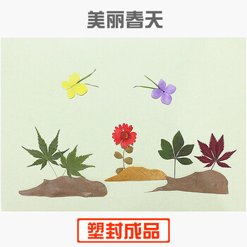 树叶贴画真植物标本材料包幼儿园作业亲子活动成品便宜 美丽春天