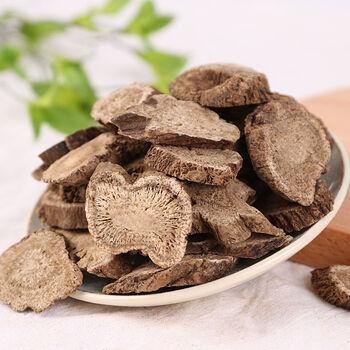 北京同仁堂原料野生木香500g川木香中药材精选广木香云木香250克新货