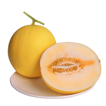 果沿子新鲜黄金蜜瓜甜瓜香瓜时令新鲜水果758斤装