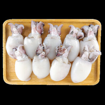 小章鱼小八爪鱼新鲜冷冻宁波野生海鲜八带鱼小望潮 去皮去内脏墨鱼仔2