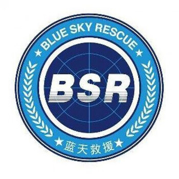 蓝天救援车贴汽车磁性反光装饰贴标志bsr蓝豹应急救援队支持订制定制